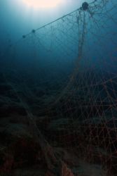 Net wall - discarded net on a reef in Turkey. thankfully ... by John M Akar 